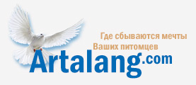 Арталанг